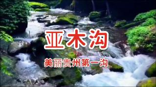 遗失之森